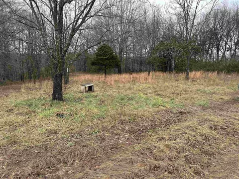 305 Loop Rd, Locust Grove, AR 72550 photo 4