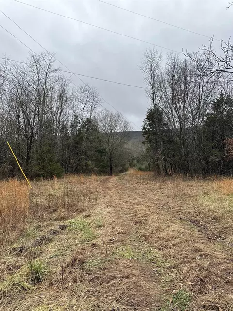 305 Loop Rd, Locust Grove, AR 72550 photo 3