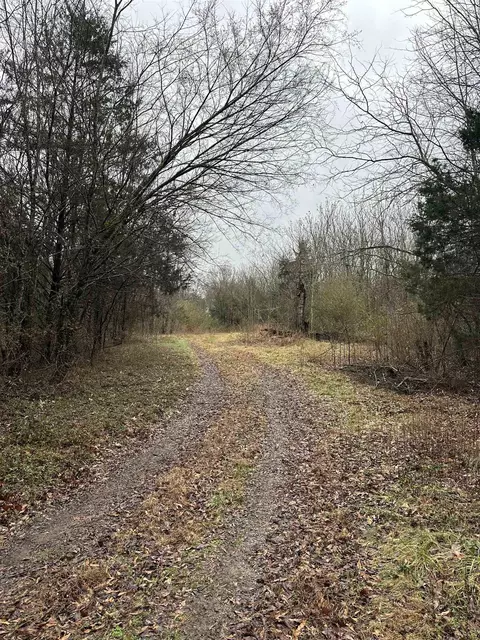 305 Loop Rd, Locust Grove, AR 72550 photo 6