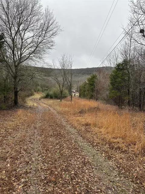 305 Loop Rd, Locust Grove, AR 72550 photo 7