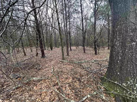 305 Loop Rd, Locust Grove, AR 72550 photo 5