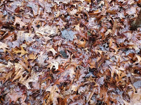 331 Us 62, Pollard, AR 72454 photo 22