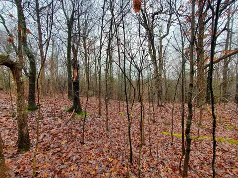 331 Us 62, Pollard, AR 72454 photo 12