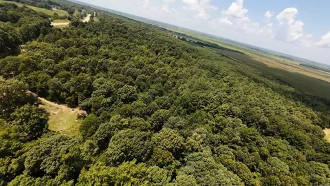 331 Us 62, Pollard, AR 72454 photo 4
