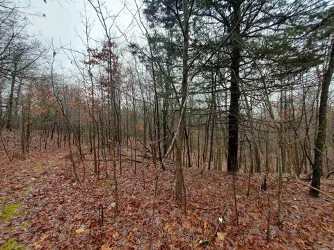 331 Us 62, Pollard, AR 72454 photo 11