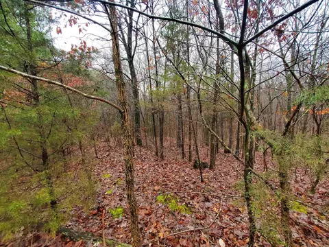331 Us 62, Pollard, AR 72454 photo 8