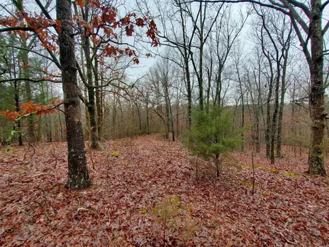 331 Us 62, Pollard, AR 72454 photo 14
