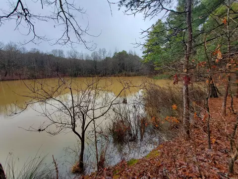 331 Us 62, Pollard, AR 72454 photo 27