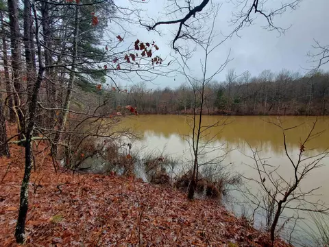331 Us 62, Pollard, AR 72454 photo 26
