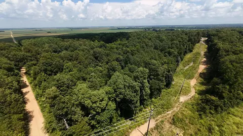 331 Us 62, Pollard, AR 72454 photo 5