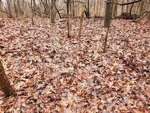 331 Us 62, Pollard, AR 72454 photo 17
