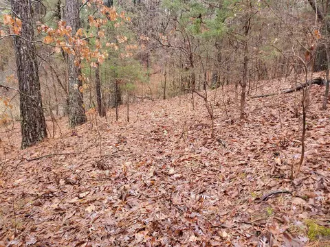 331 Us 62, Pollard, AR 72454 photo 28