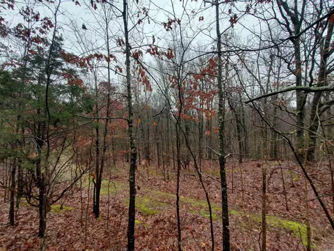 331 Us 62, Pollard, AR 72454 photo 13