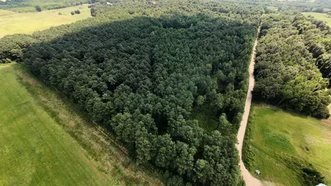 331 Us 62, Pollard, AR 72454 photo 2