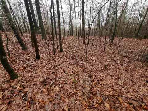 331 Us 62, Pollard, AR 72454 photo 20