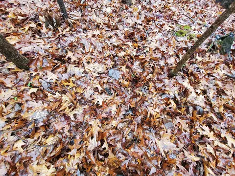 331 Us 62, Pollard, AR 72454 photo 21
