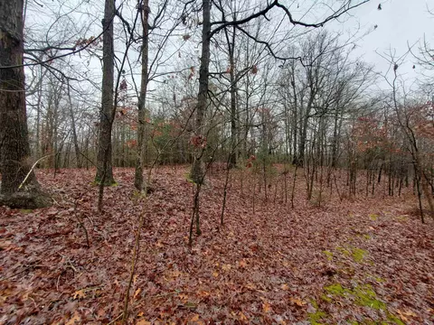 331 Us 62, Pollard, AR 72454 photo 10