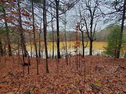 331 Us 62, Pollard, AR 72454 photo 7