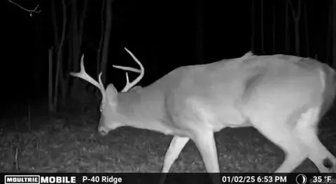 331 Us 62, Pollard, AR 72454 photo 9