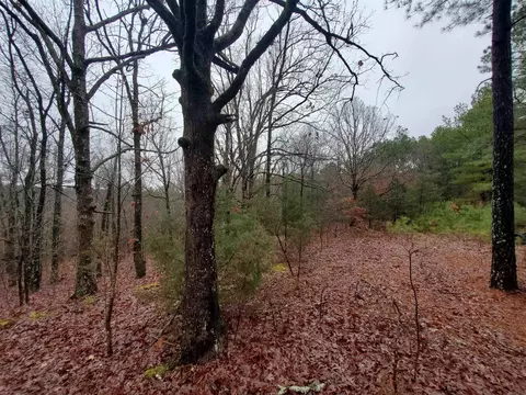 331 Us 62, Pollard, AR 72454 photo 15