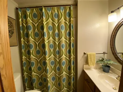 Bath - 23 Timberlane Dr, Mount Ida, AR 71957 photo 1 of 3