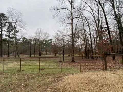 Exterior - 23 Timberlane Dr, Mount Ida, AR 71957 photo 5 of 13