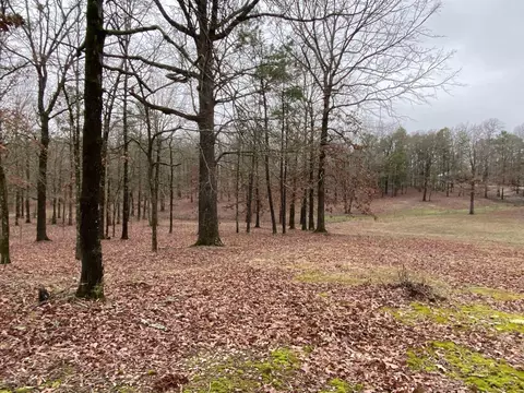Exterior - 23 Timberlane Dr, Mount Ida, AR 71957 photo 9 of 13