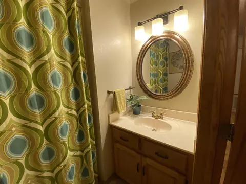 Bath - 23 Timberlane Dr, Mount Ida, AR 71957 photo 2 of 3