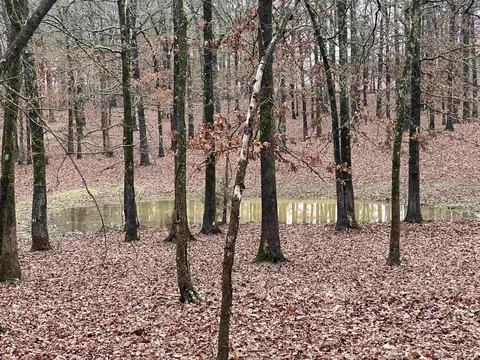 View/Area - 23 Timberlane Dr, Mount Ida, AR 71957 photo 1 of 1