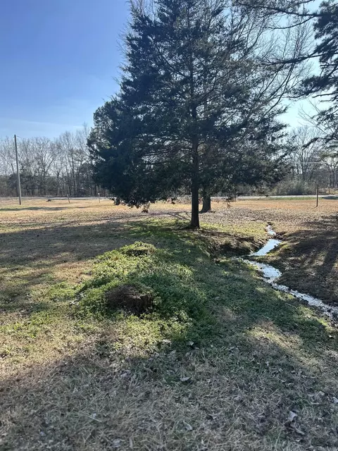 527 E Hwy 124, Pangburn, AR 72121 photo 28