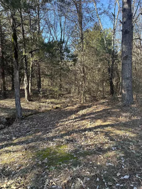 527 E Hwy 124, Pangburn, AR 72121 photo 22