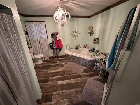 111 Mark, Corning, AR 72422 photo 16