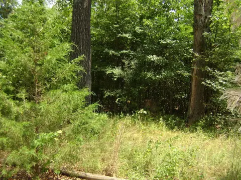 206 208 Wedge Rd, Horseshoe Bend, AR 72512