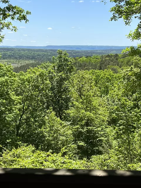 1615 Silver Ridge Rd, Drasco, AR 72530 photo 28