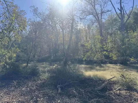 000 Alex Brown Rd, Sherrill, AR 72152 photo 6
