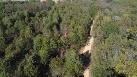 000 Alex Brown Rd, Sherrill, AR 72152 photo 44