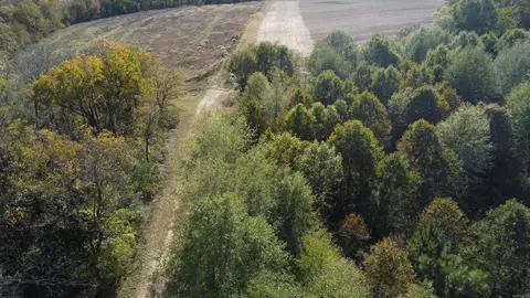 000 Alex Brown Rd, Sherrill, AR 72152 photo 45
