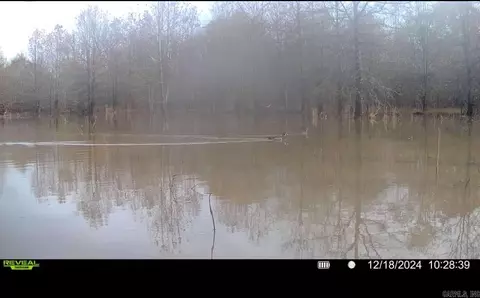 000 Alex Brown Rd, Sherrill, AR 72152 photo 16