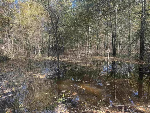 000 Alex Brown Rd, Sherrill, AR 72152 photo 15