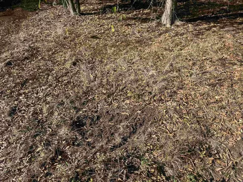 000 Alex Brown Rd, Sherrill, AR 72152 photo 29