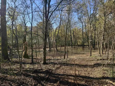 000 Alex Brown Rd, Sherrill, AR 72152 photo 8