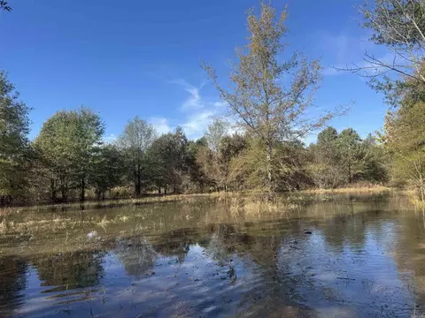 000 Alex Brown Rd, Sherrill, AR 72152 photo 30