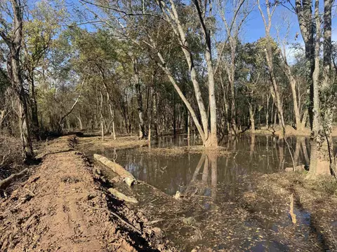 000 Alex Brown Rd, Sherrill, AR 72152 photo 4