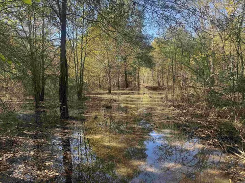 000 Alex Brown Rd, Sherrill, AR 72152 photo 25