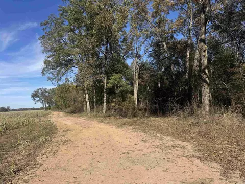 000 Alex Brown Rd, Sherrill, AR 72152 photo 14