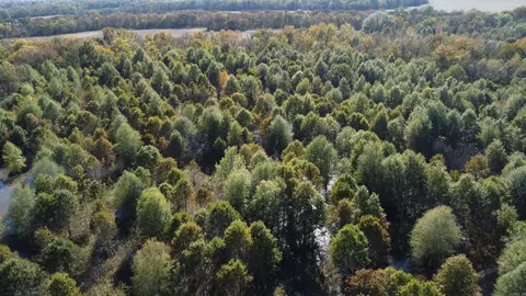 000 Alex Brown Rd, Sherrill, AR 72152 photo 38