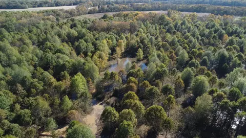 000 Alex Brown Rd, Sherrill, AR 72152 photo 39