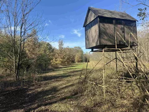 000 Alex Brown Rd, Sherrill, AR 72152 photo 11