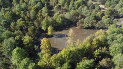 000 Alex Brown Rd, Sherrill, AR 72152 photo 42