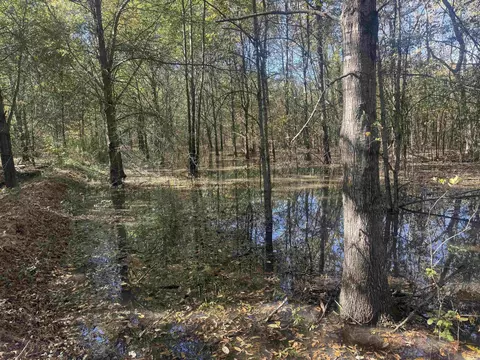 000 Alex Brown Rd, Sherrill, AR 72152 photo 36